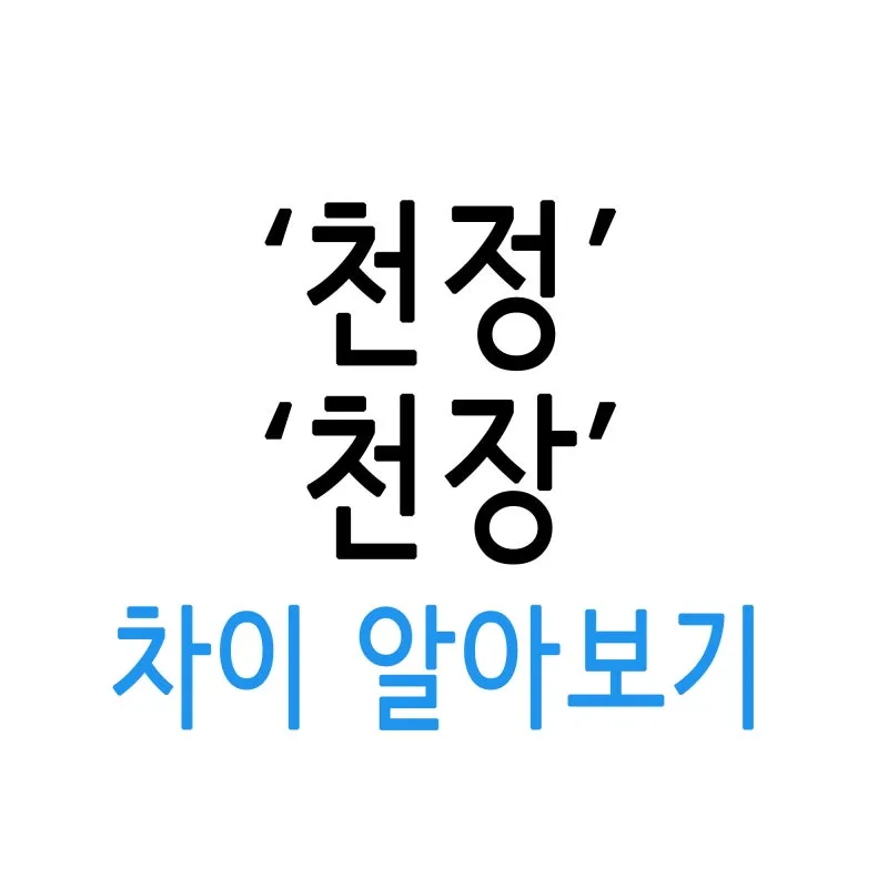 천정 천장 맞춤법 맞는 표현 문법_4