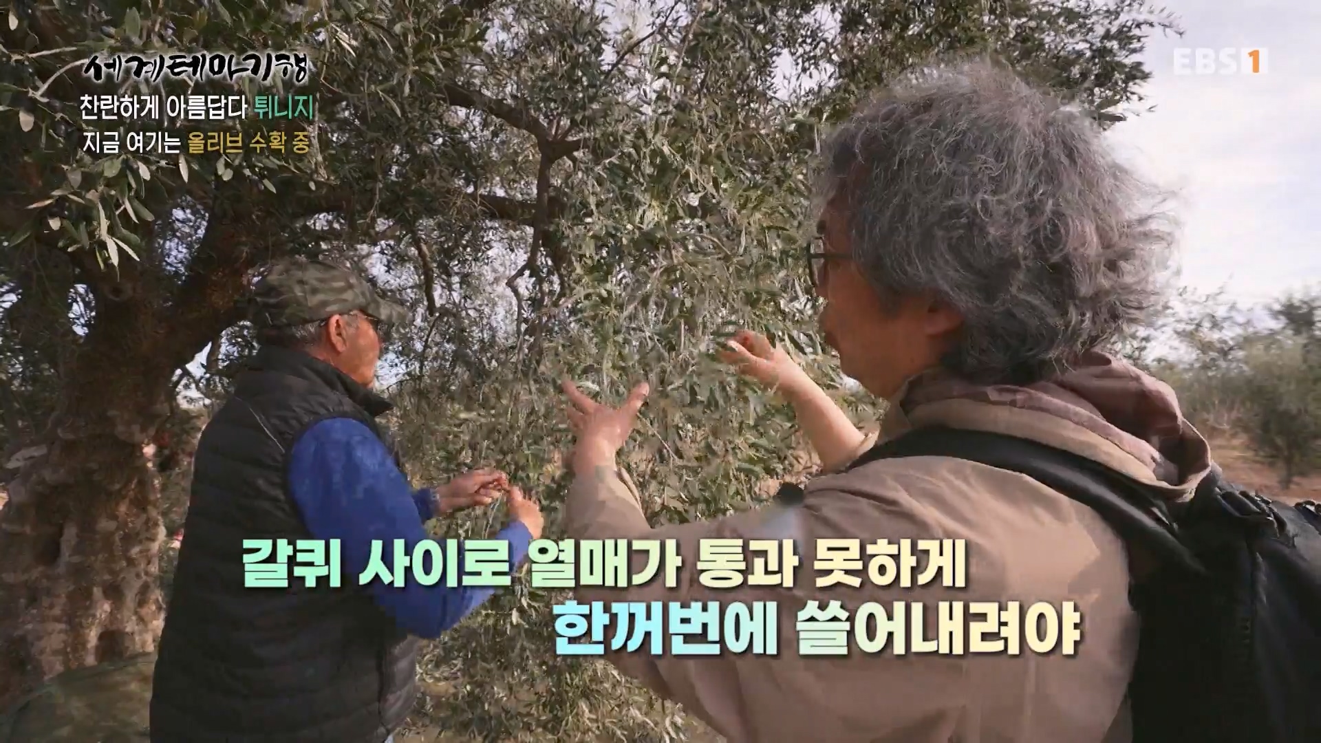 세계테마기행 240404 찬란하게 아름답다 튀니지 -시간을 거슬러 역사 기행0p.mp4_20240515_151709.039.jpg