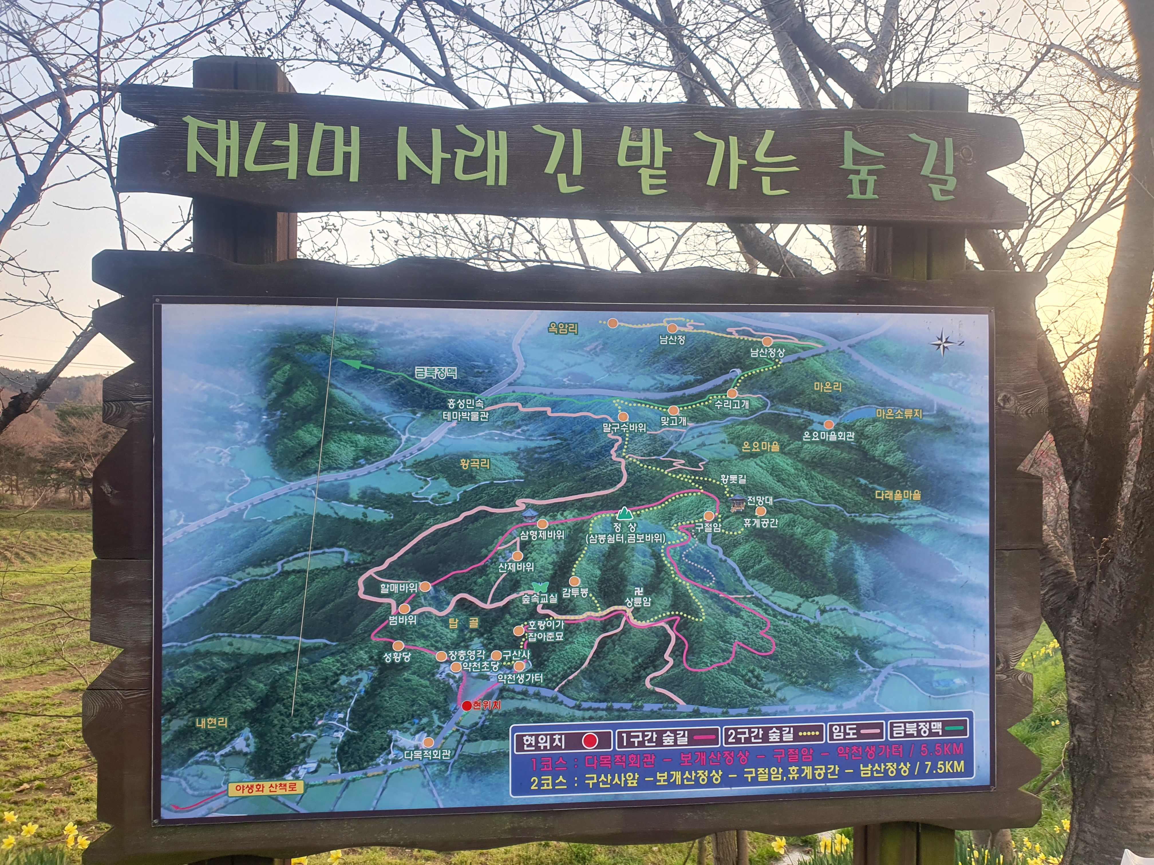 홍성 거북이 마을 봄꽃 명소