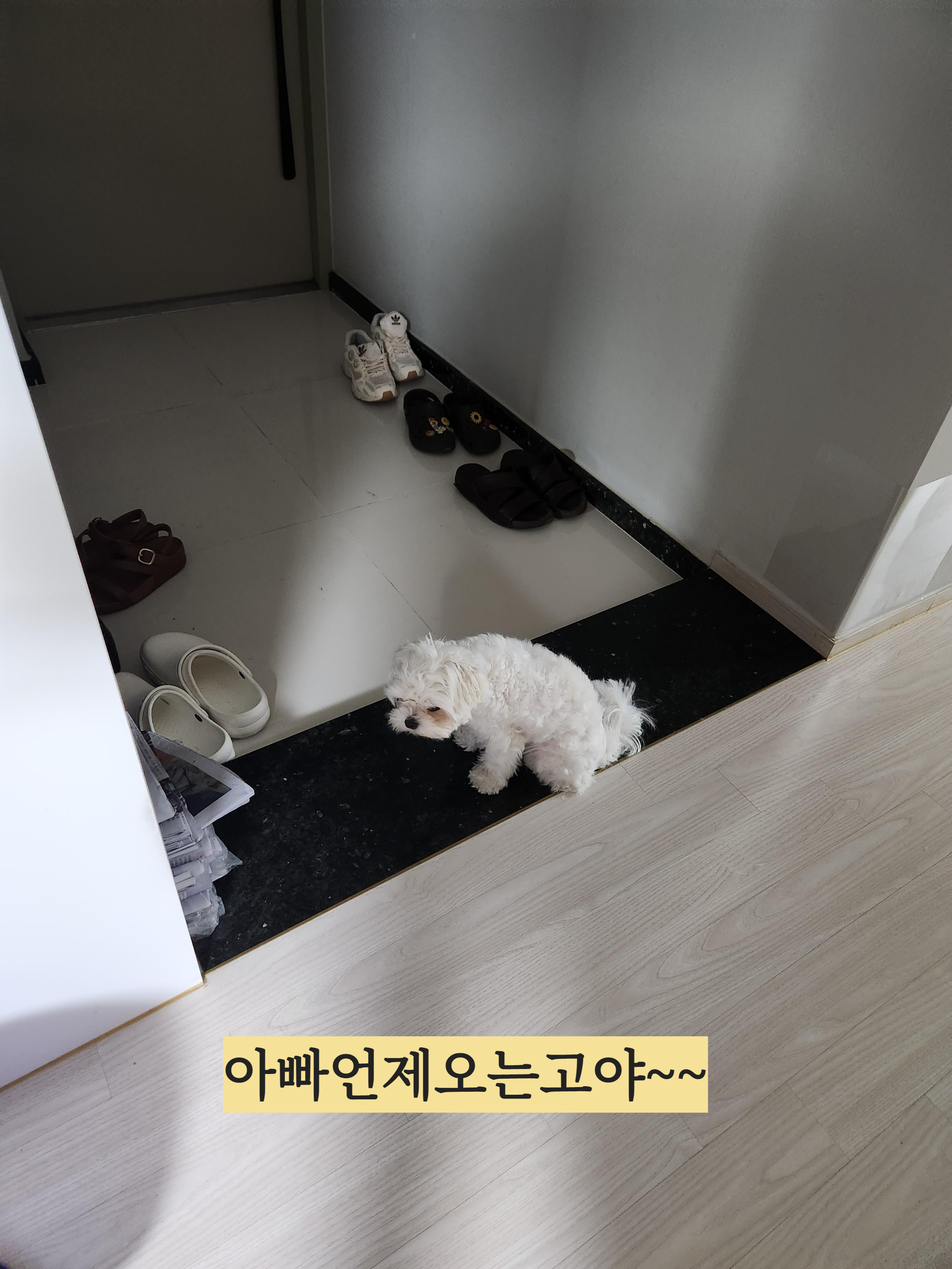  회식중인 아빠 기다리는 준