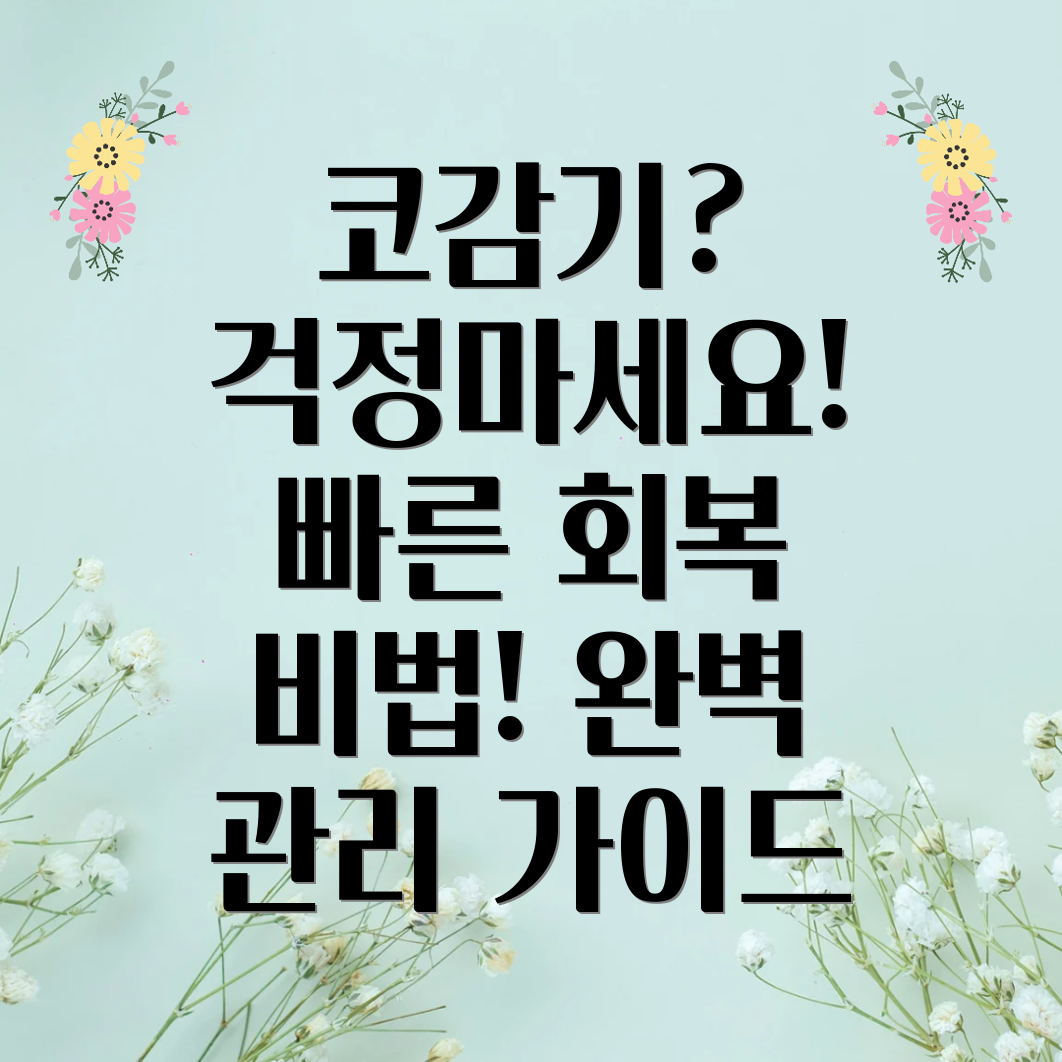 코감기 빠른 회복