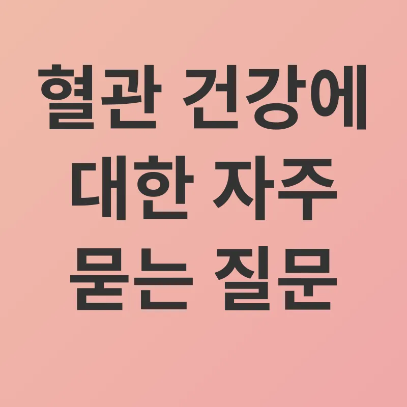 혈관 관리_4