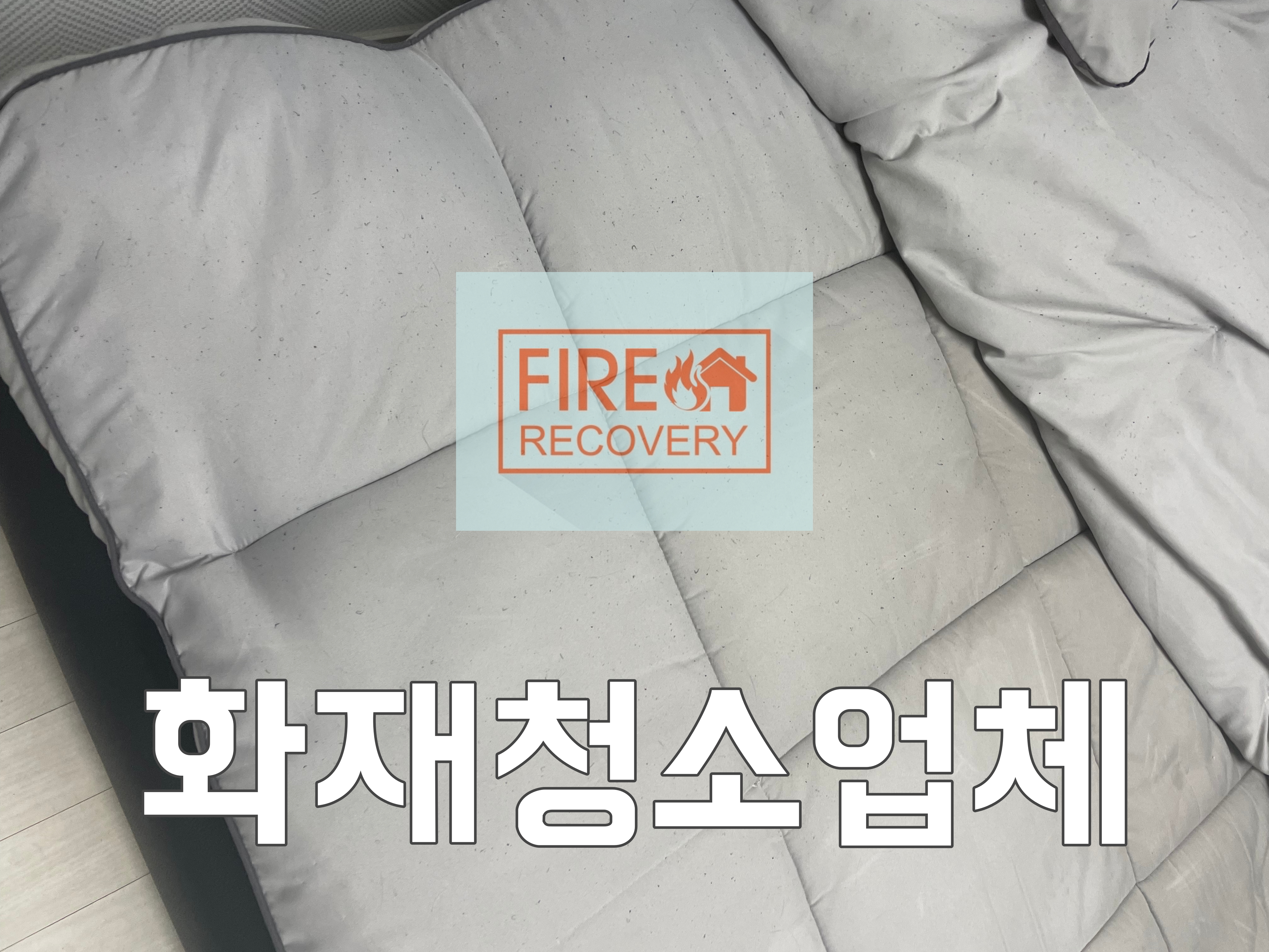  주방 화재청소업체 고양이가 주방 인덕션 불 그을음 제거