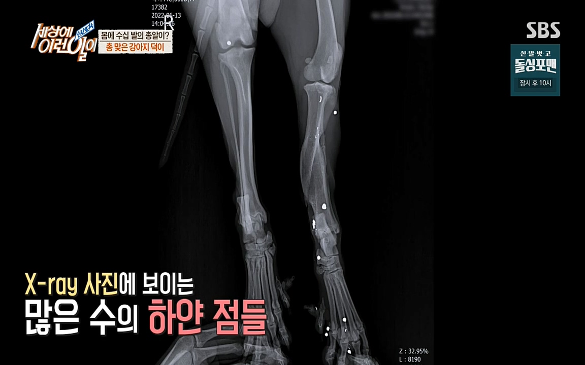 순간포착 세상에 이런일이.E1187.220706p-NEXT.mp4_20220706_195922.714.jpg