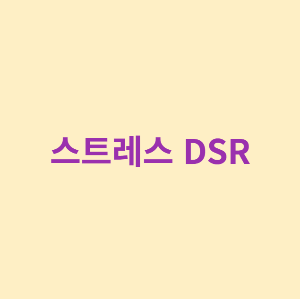 스트레스 DSR