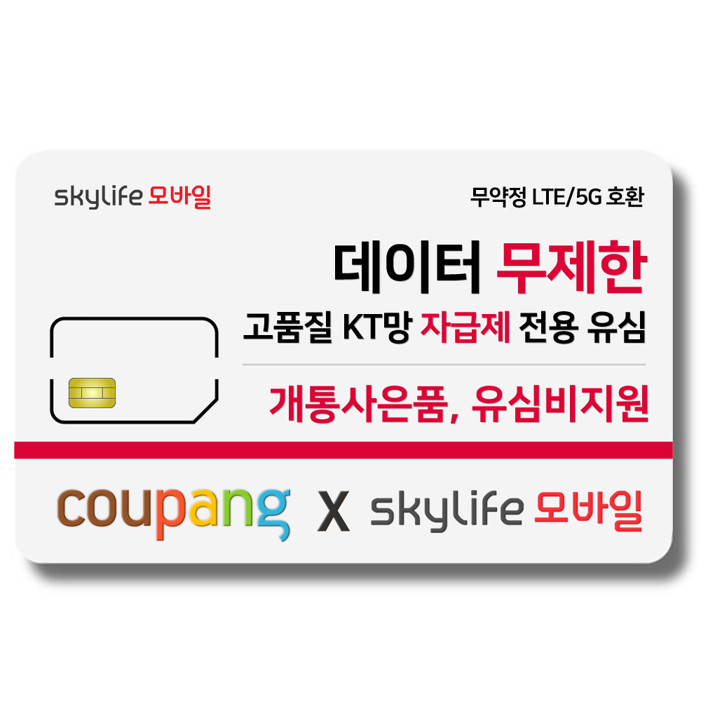 휴대폰 스마트폰 모바일 데이터 선불유심 6종 추천