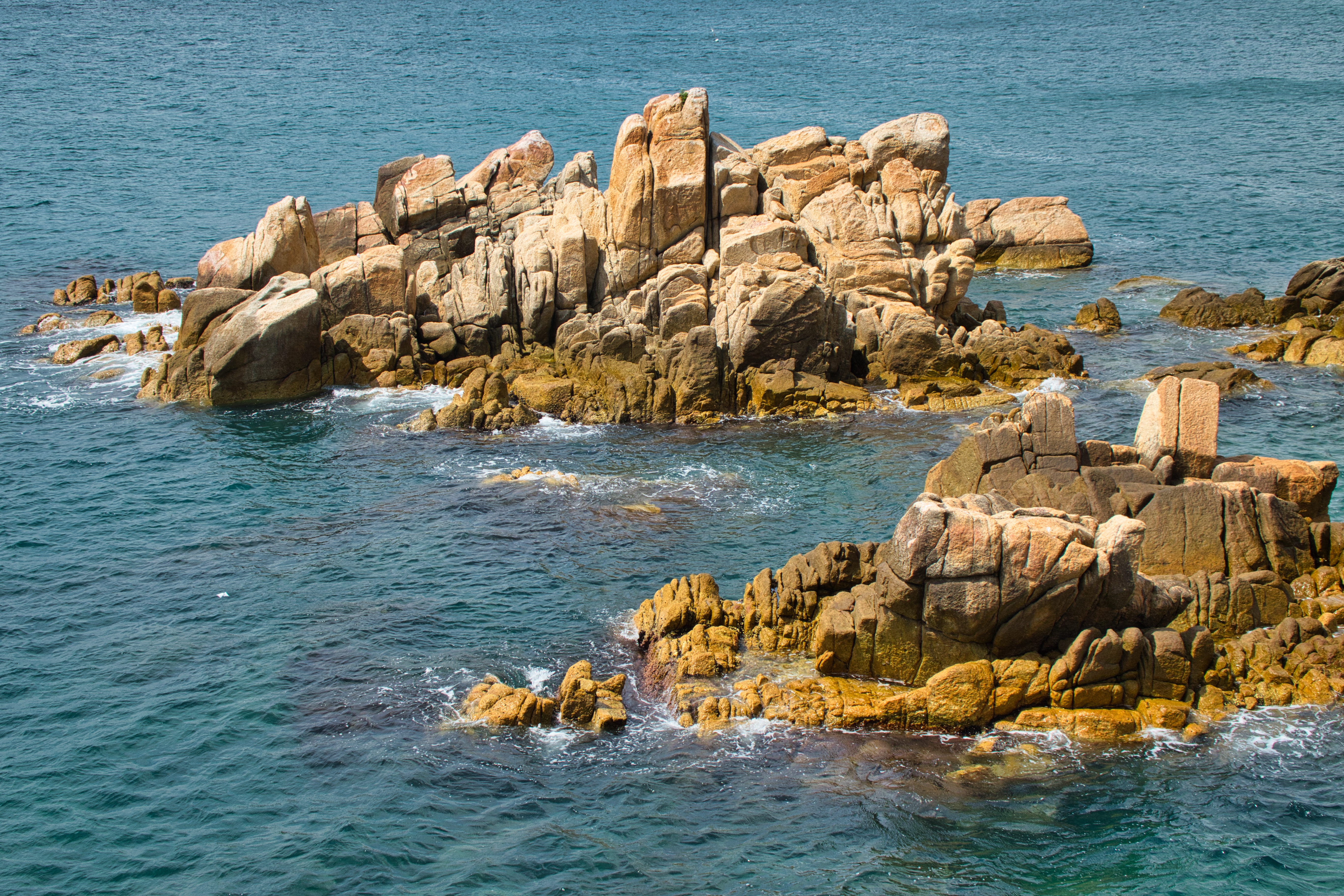 img.jpg