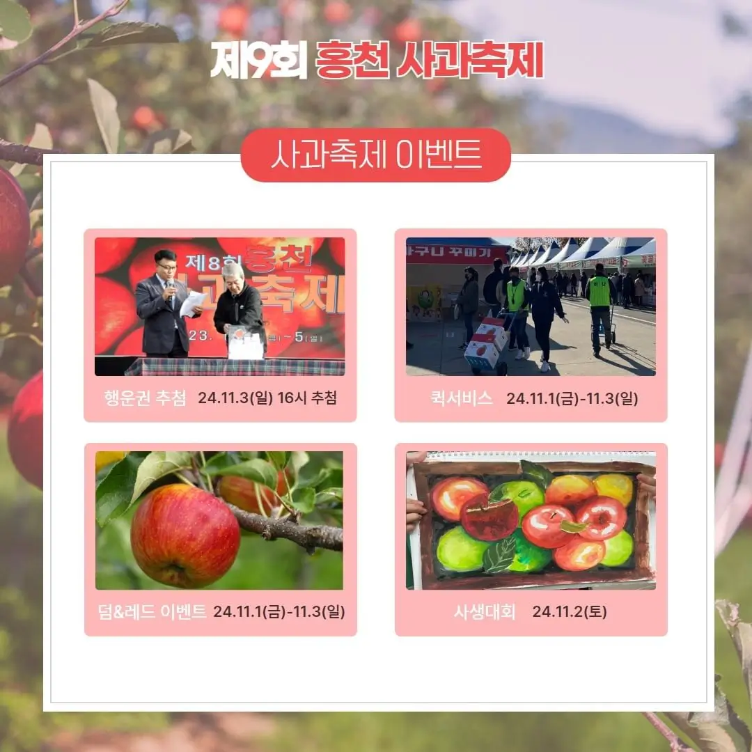 홍천프로그램2