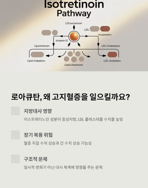로아큐탄 왜 고지혈증을 일으킬까요?