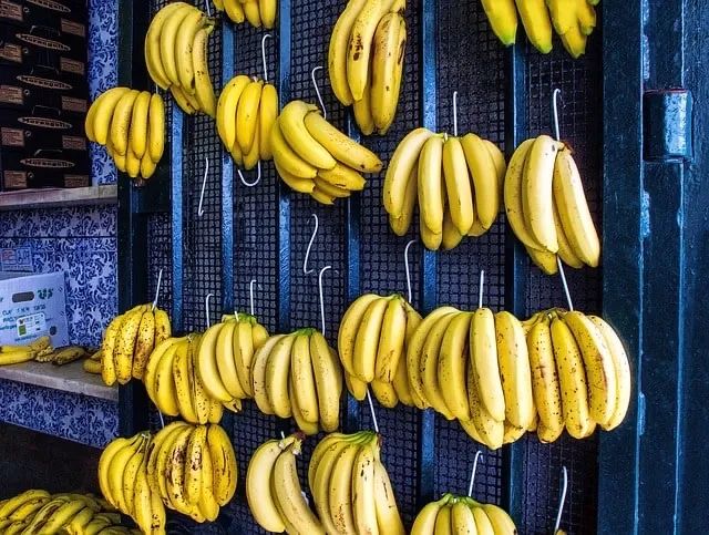 바나나 후크 보관
