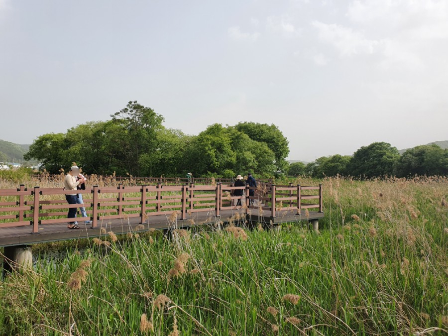 경안천 습지생태공원 여행 경기도 광주에 가볼 만한 곳 17