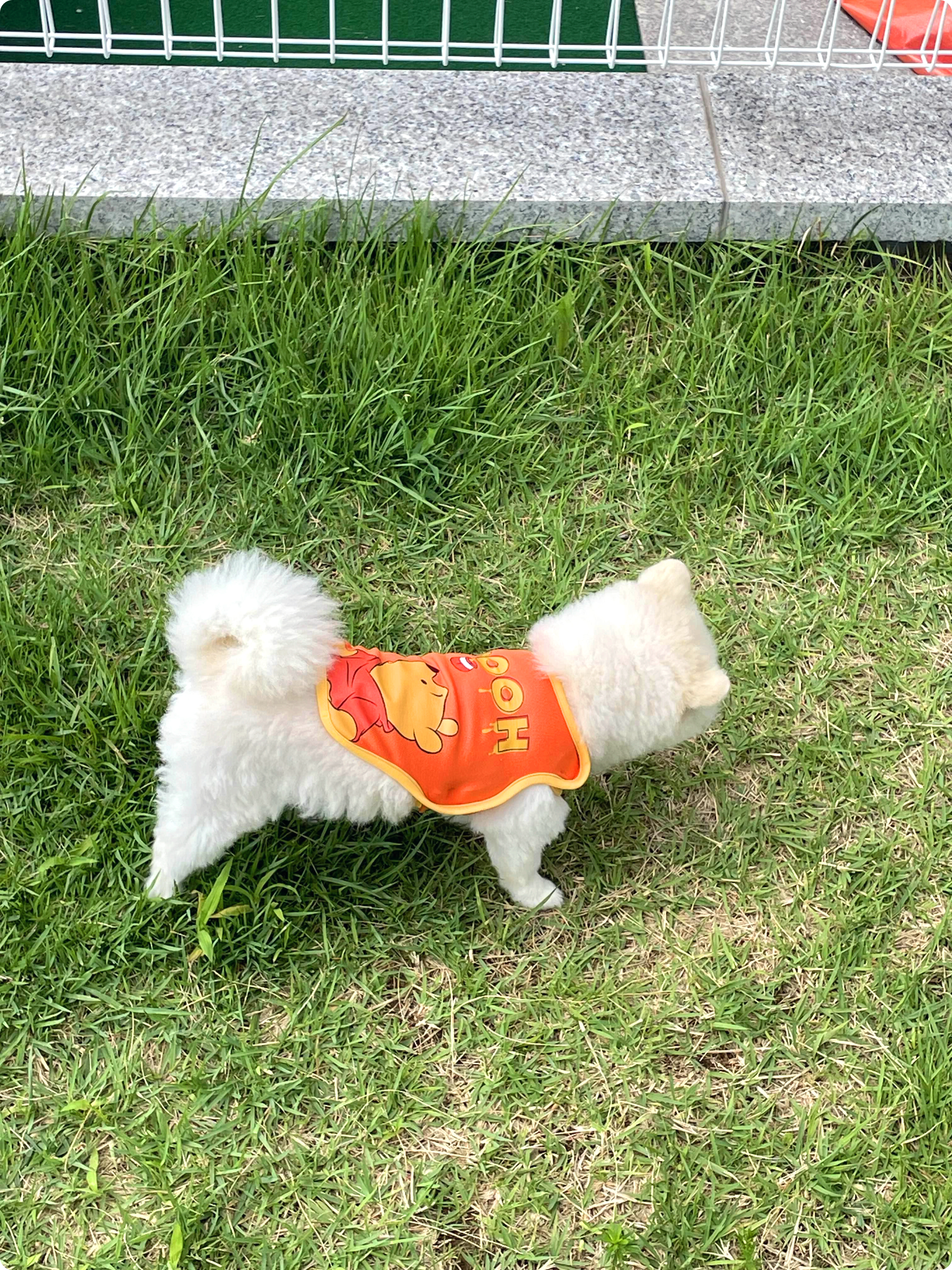 요미