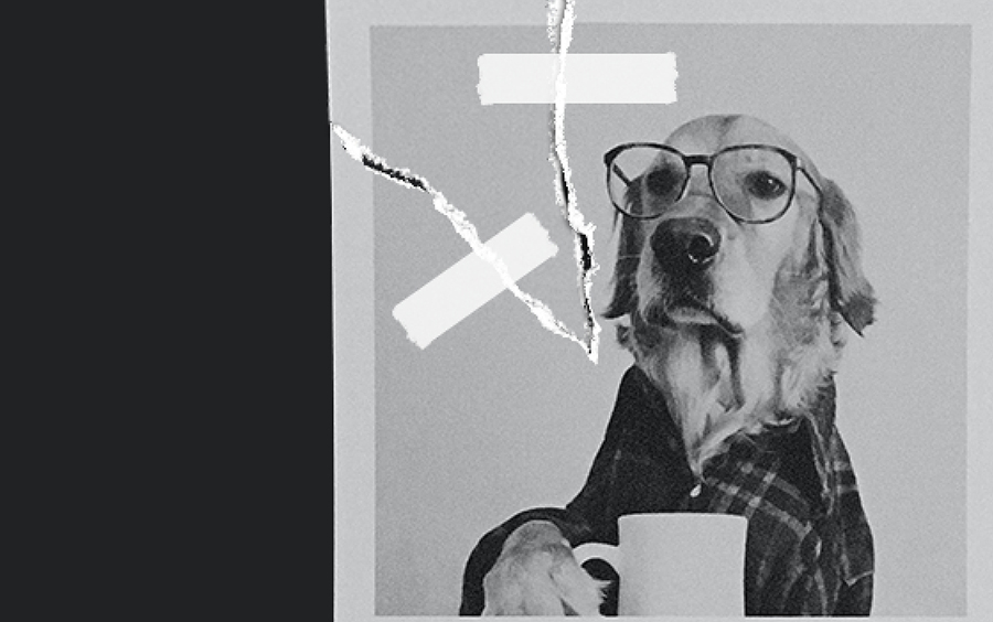 개가 컵을 들고 있는 모습의 사진