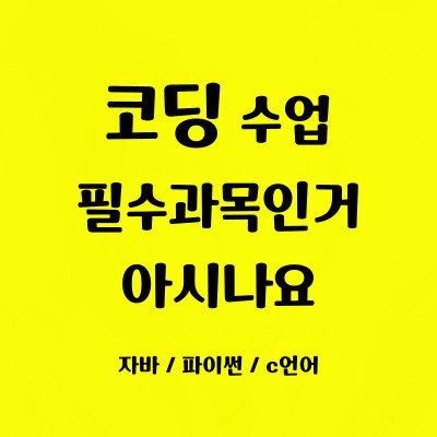  장곡동 일대일 코딩학원 장현동 초등 중등 코딩과외 일대일 자바스크립트 파이썬 자격증 성인 코딩 집중력