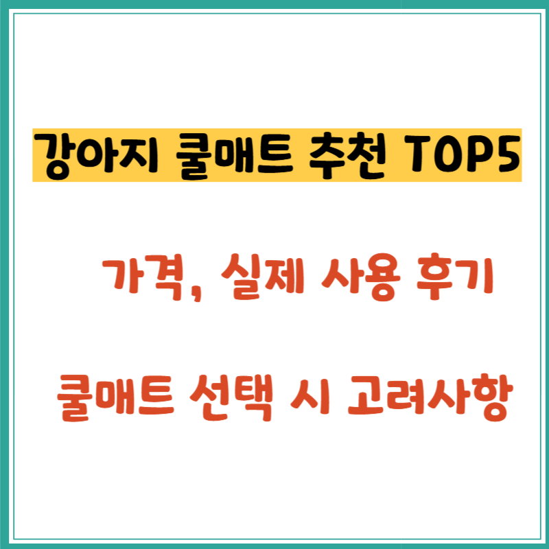강아지 쿨매트 추천 TOP 5 – 가격, 실제 사용 후기 포함
