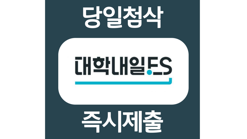  대학내일es 신입 경력 자소서항목 자기소개서 문항 작성방법 첨삭 대필