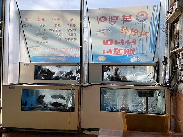 복댕이포차 이미지