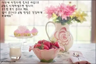 6월 인사말 모음집_24