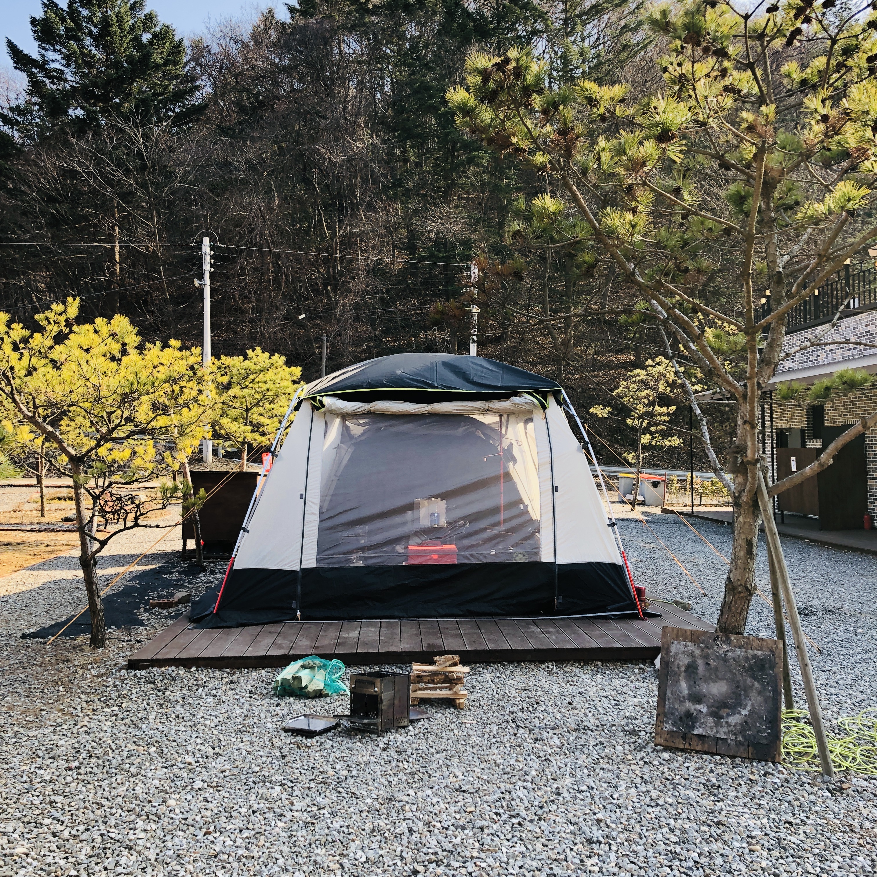 초리포레스트 이미지