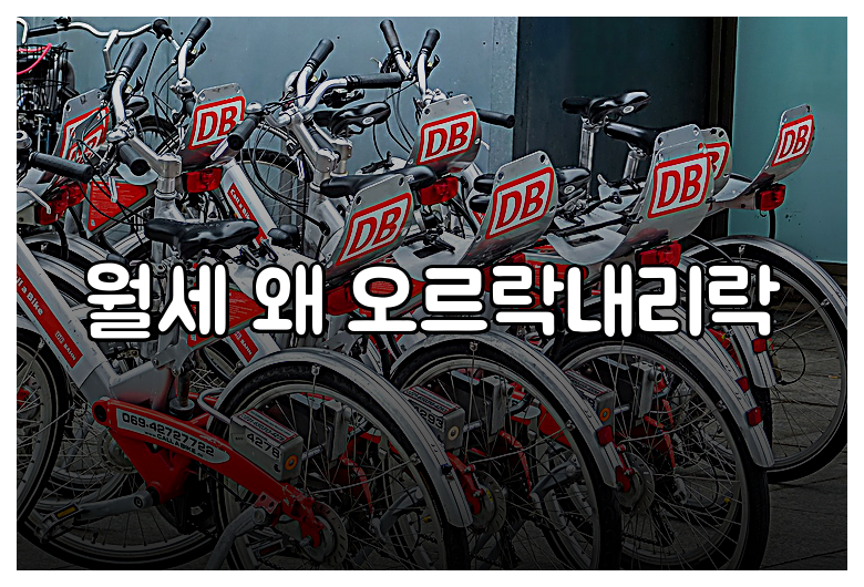 월세 왜 오르락내리락