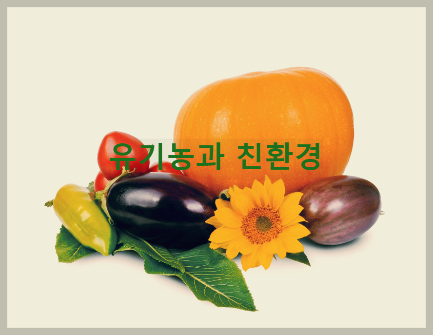  유기농과 친환경의 차이점