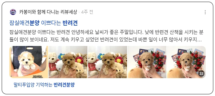 반려견 분양_3_subsection