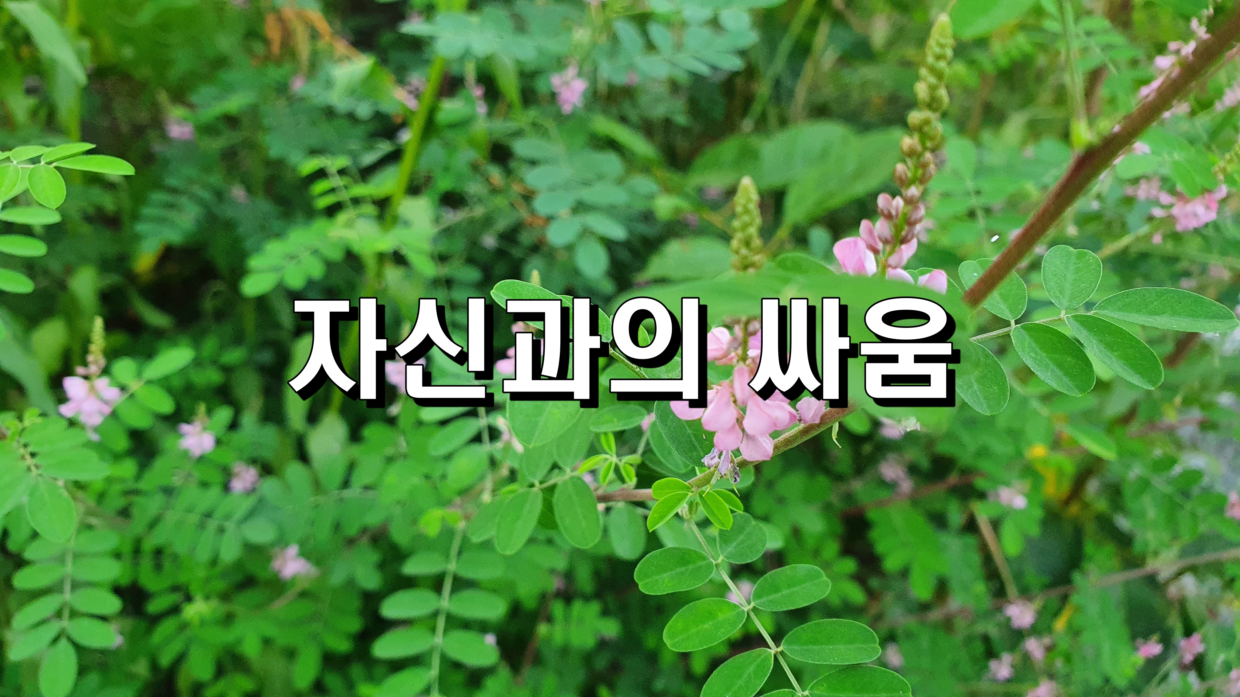  자신과의 싸움