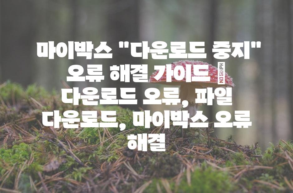 샘플 (42)