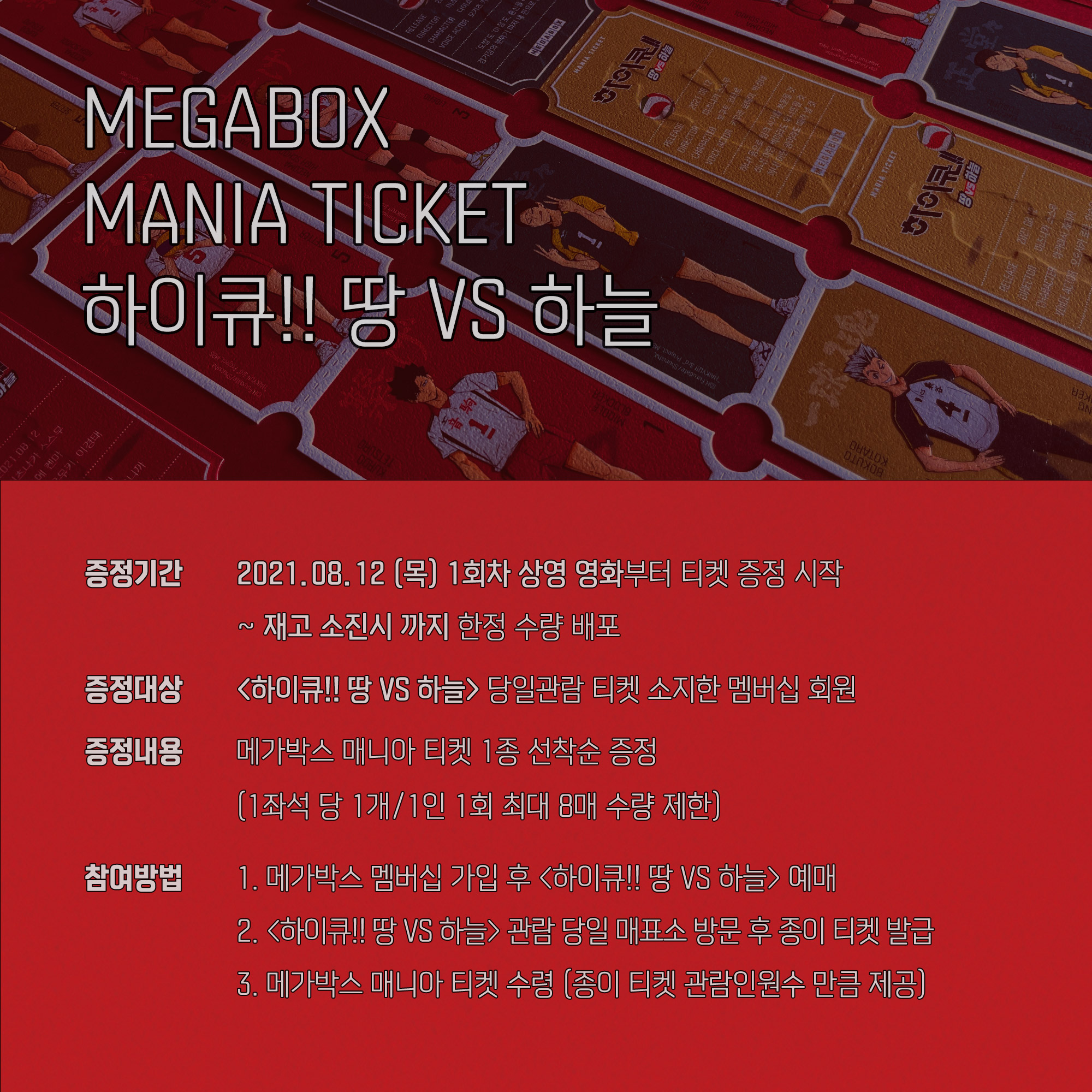  하이큐 극장판 땅 VS 하늘 메가박스 MANIA TICKET