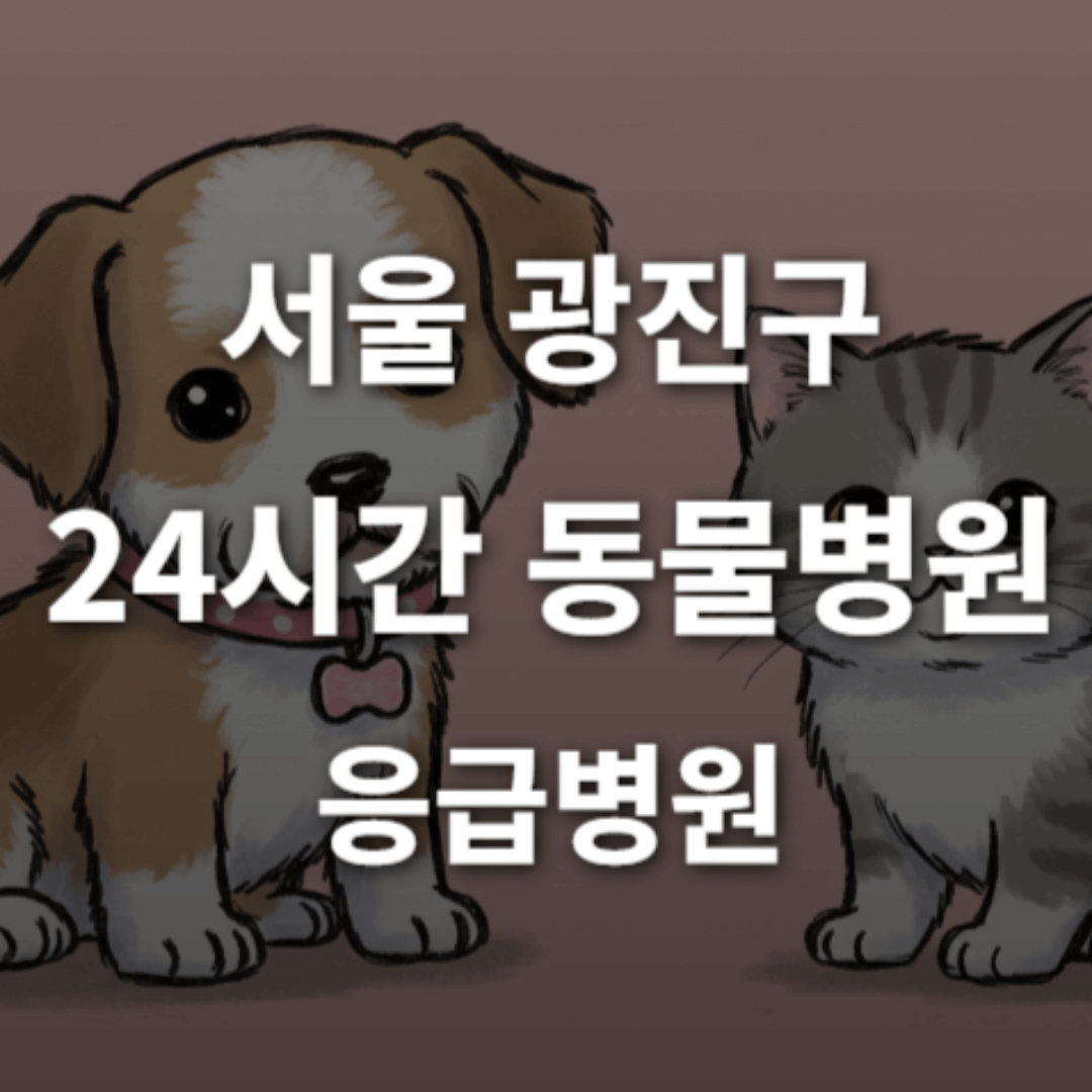 [서울 광진구 24시간 동물병원(구의동)] 반려동물 응급상황 대처 가능한 진료소