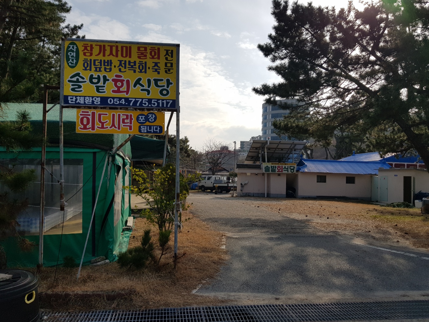 해돋이 명소