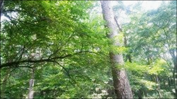  종합소득세 신고대상 방법 알아보자!