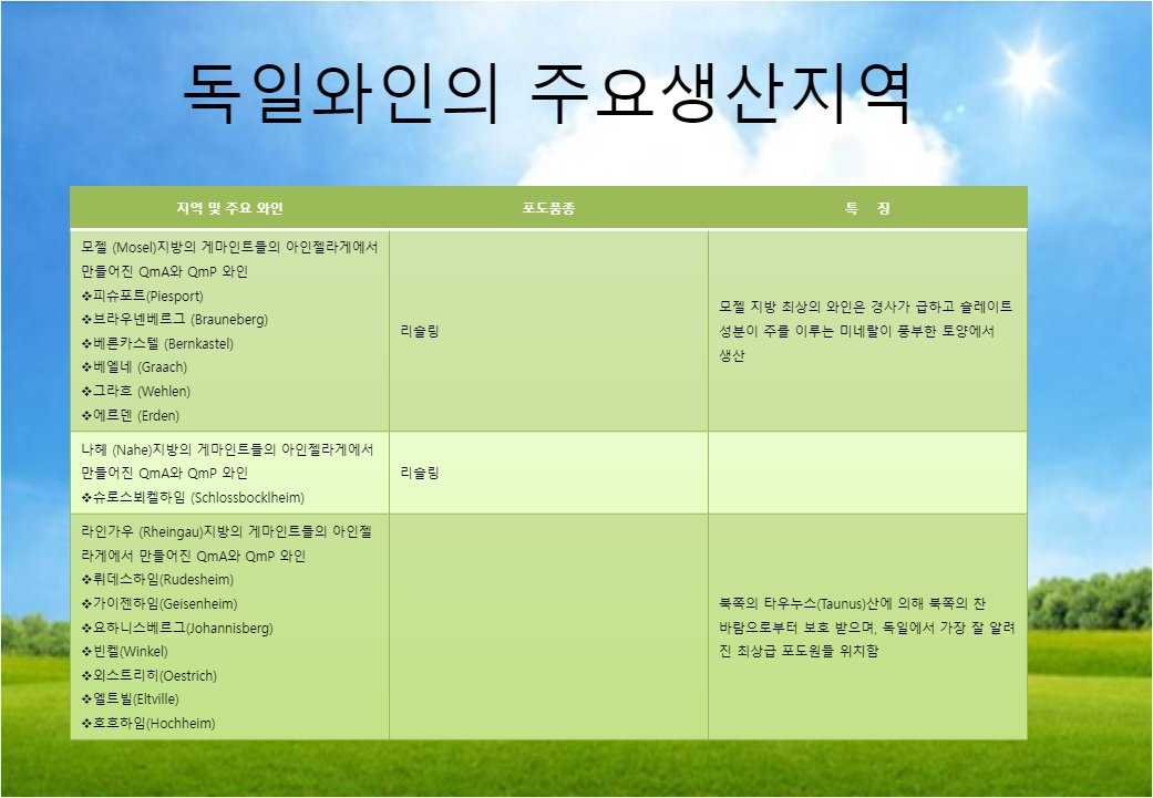 아인젤 이미지