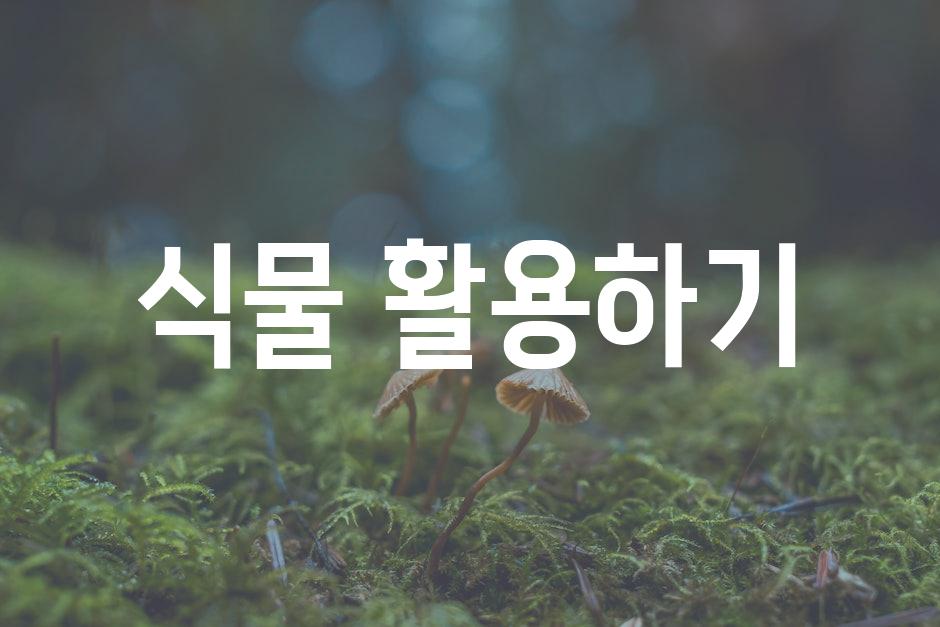 식물 활용하기