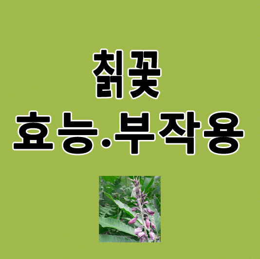 칡꽃 효능 3가지