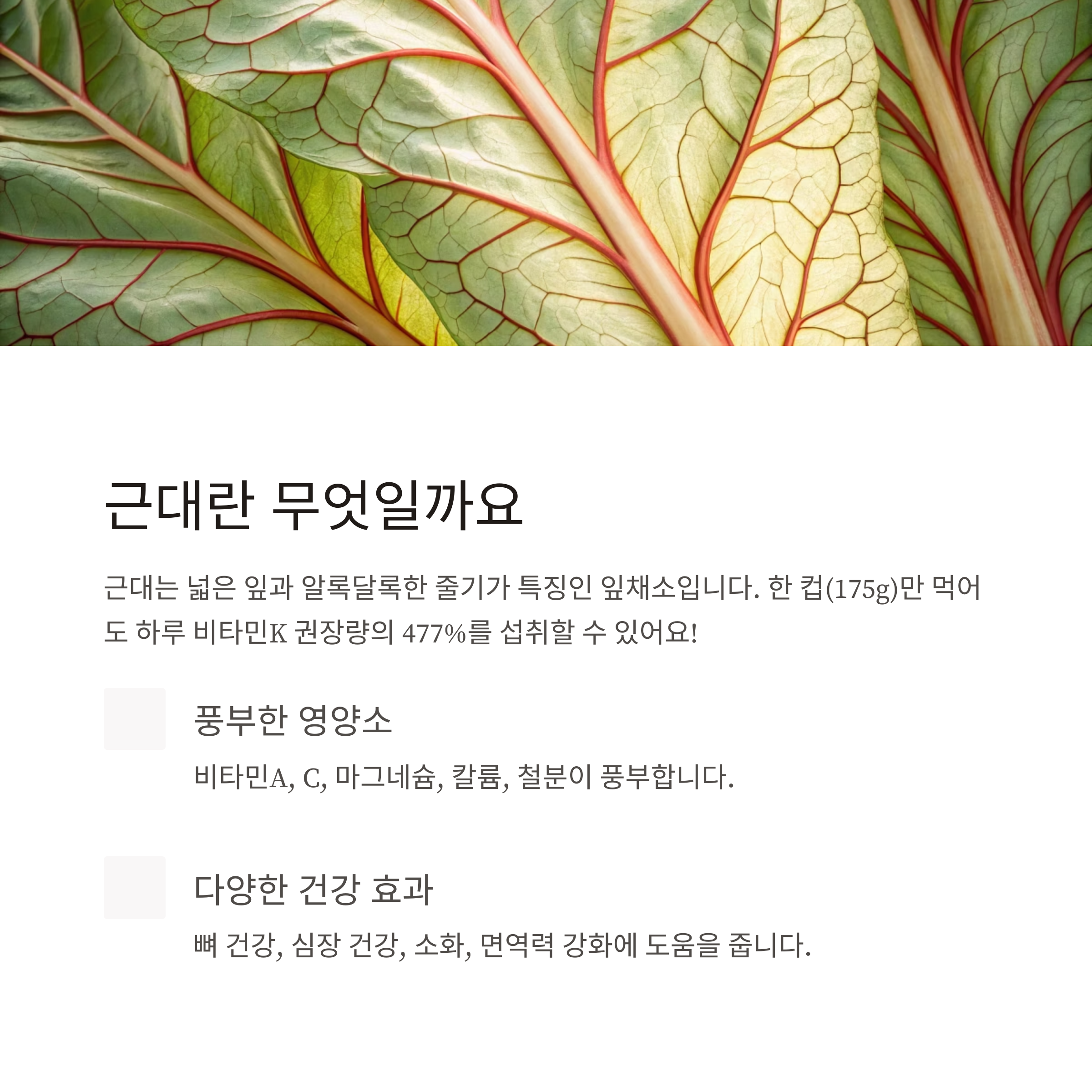 슈퍼푸드 근대