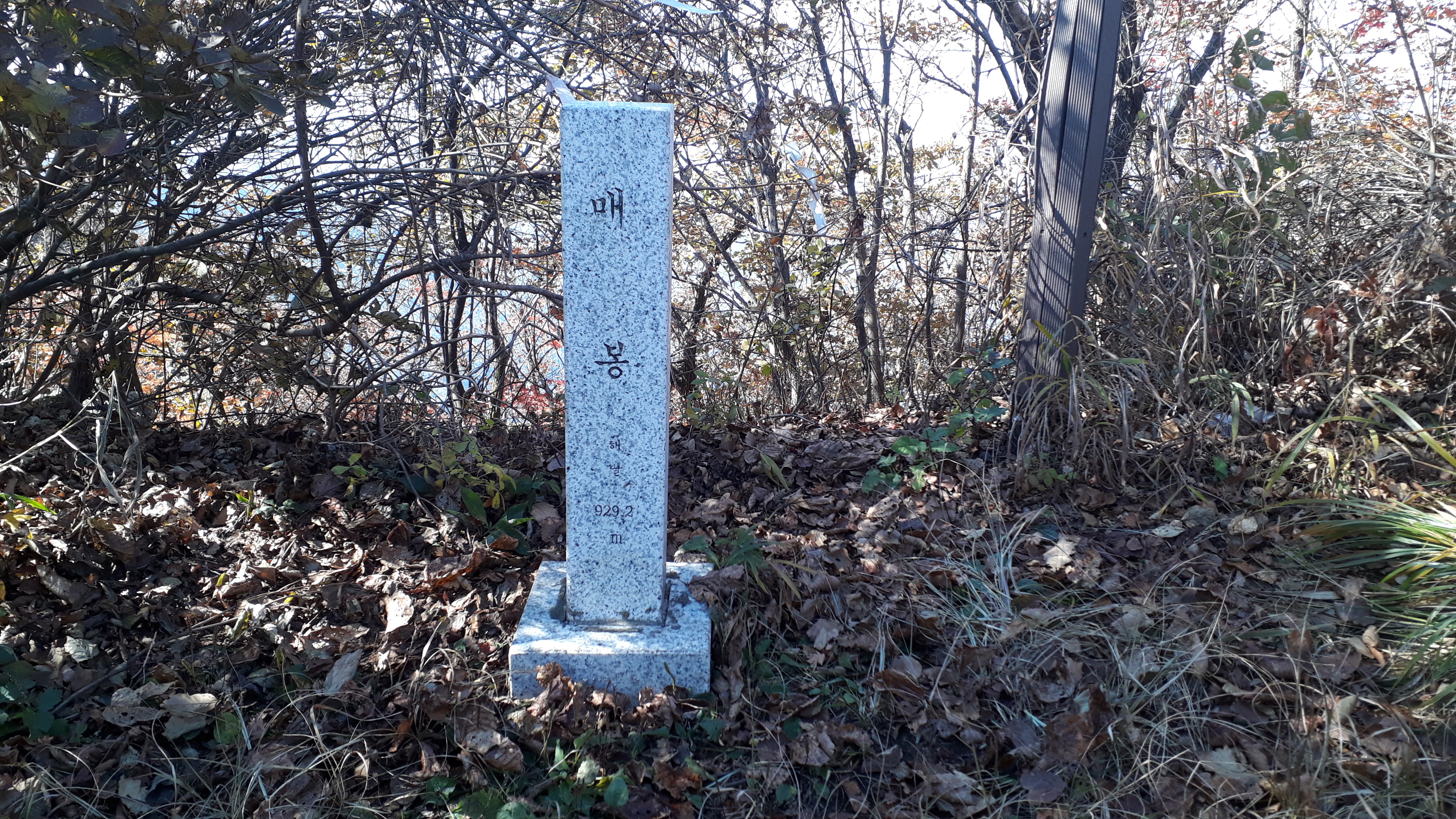 국수당 이미지