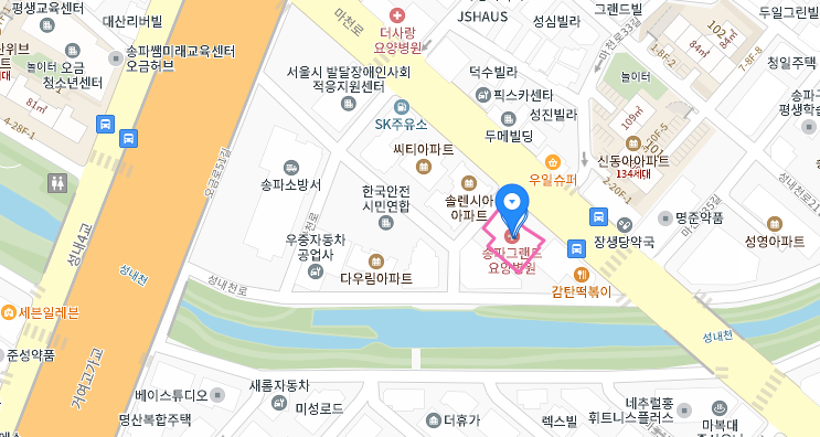 송파대요양병원