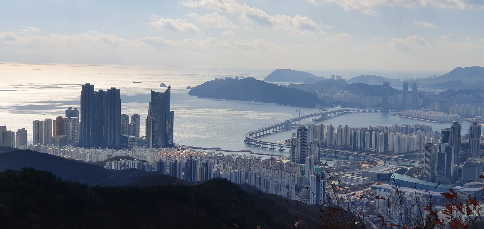 해운대-장산-정상전망