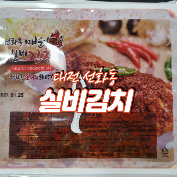  대전 선화동 매운 실비김치 찐찐후기