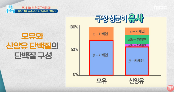 산양유 단백질 함유량