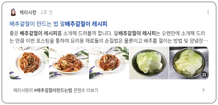 배추겉절이 레시피_2_subsection