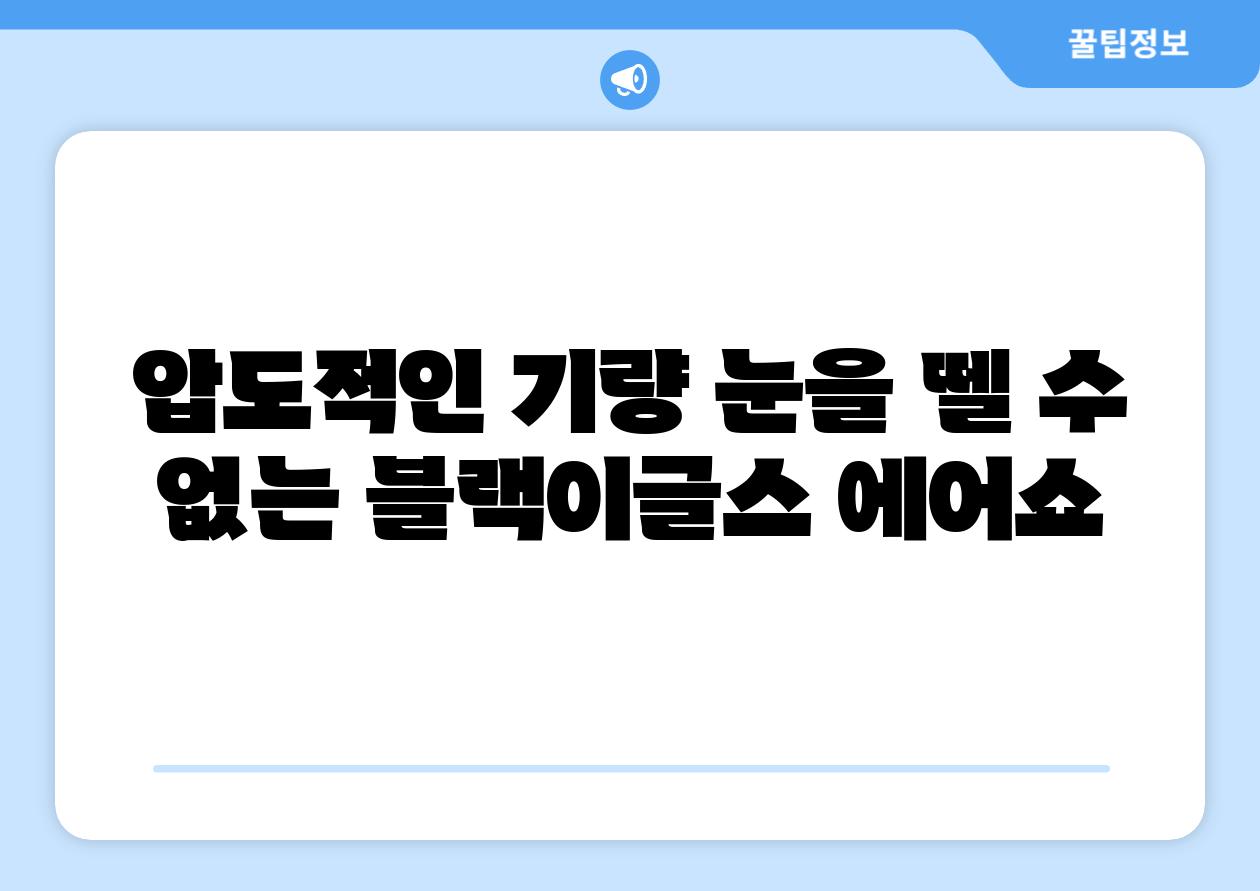 압도적인 기량 눈을 뗄 수 없는 블랙이글스 에어쇼