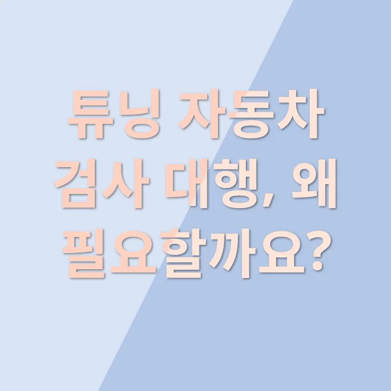 튜닝 검사 대행_3