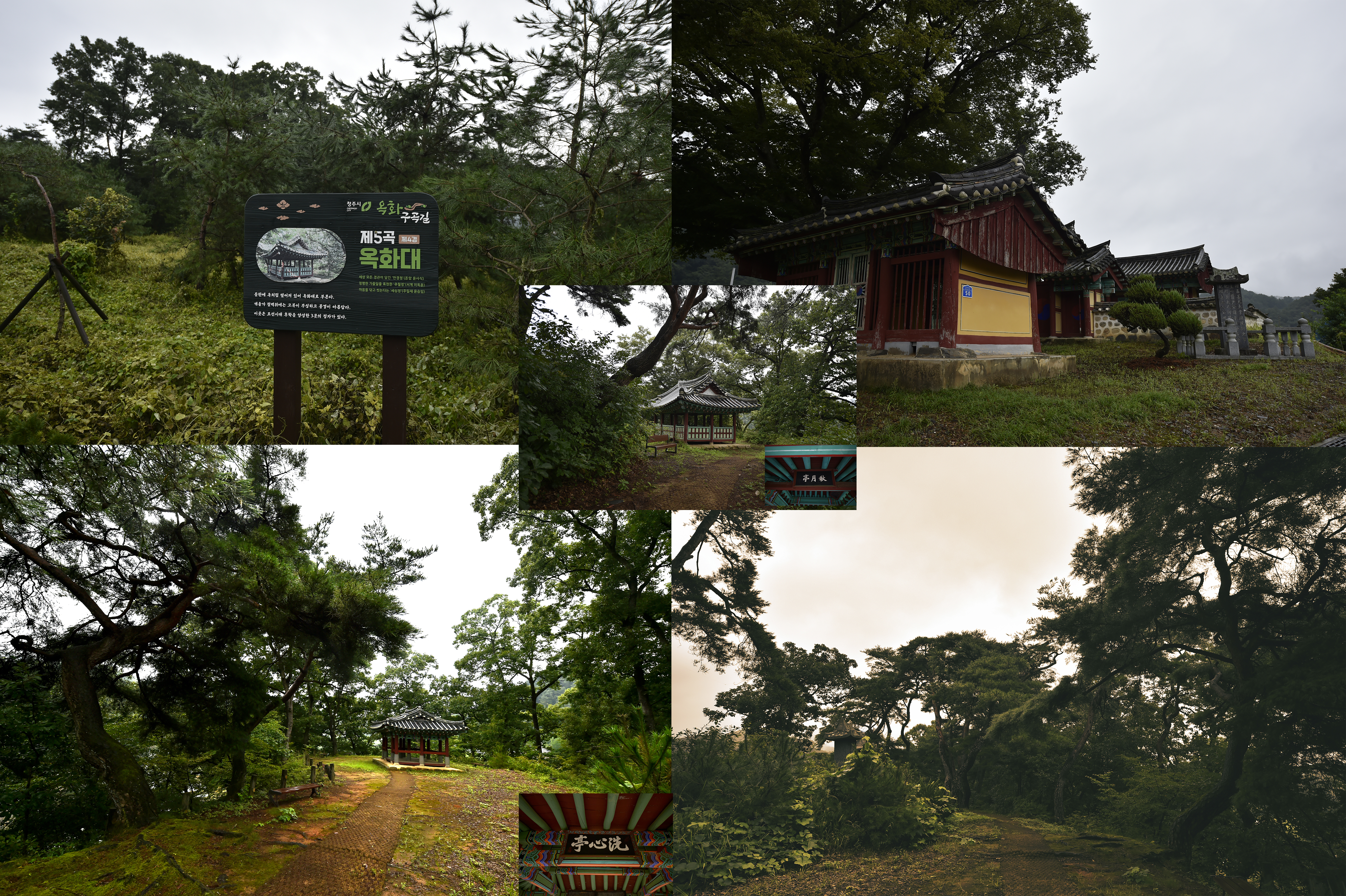 자연환경(주) 이미지