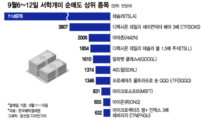 서학동학개미