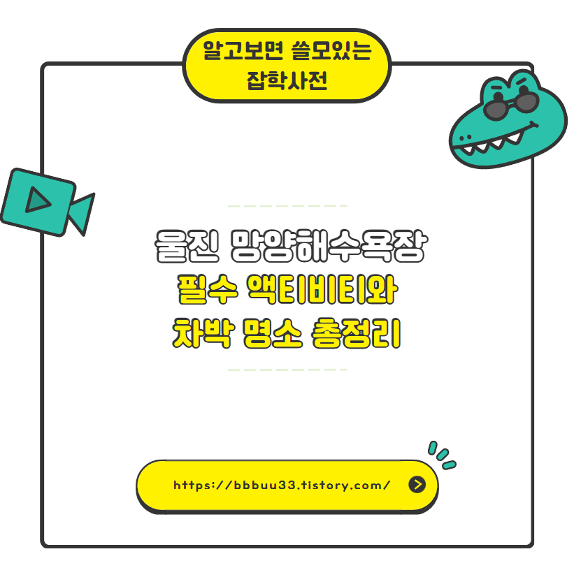 울진 망양해수욕장 필수 액티비티와 차박 명소 총정리