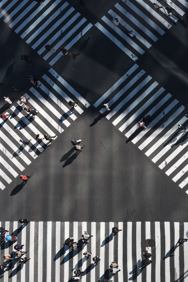 항공 각도 (Bird&amp;#39;s eye view)