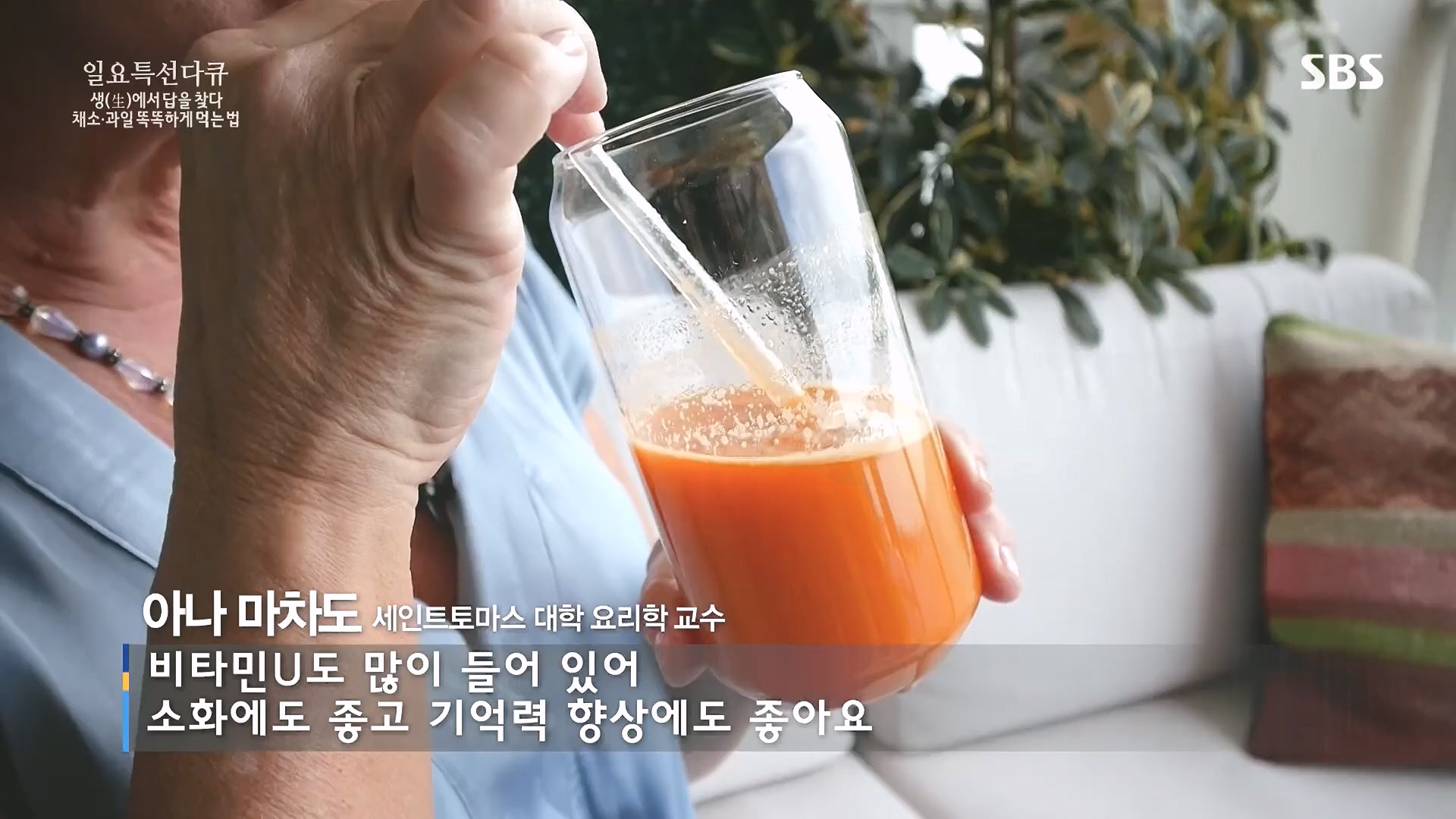 일요 특선 다큐멘터리.E335.240107p.H264-F1RST.mp4_20240108_204548.410.jpg