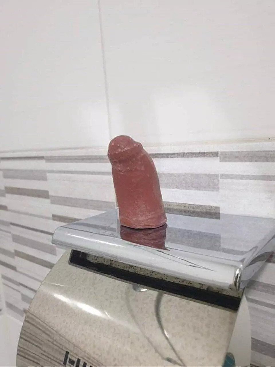 세학의 자료 저장소